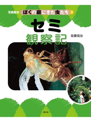cover image of 写真絵本　ぼくの庭にきた虫たち3　セミ観察記